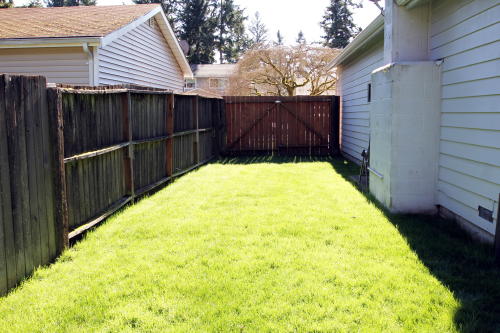 Lower level fireplace